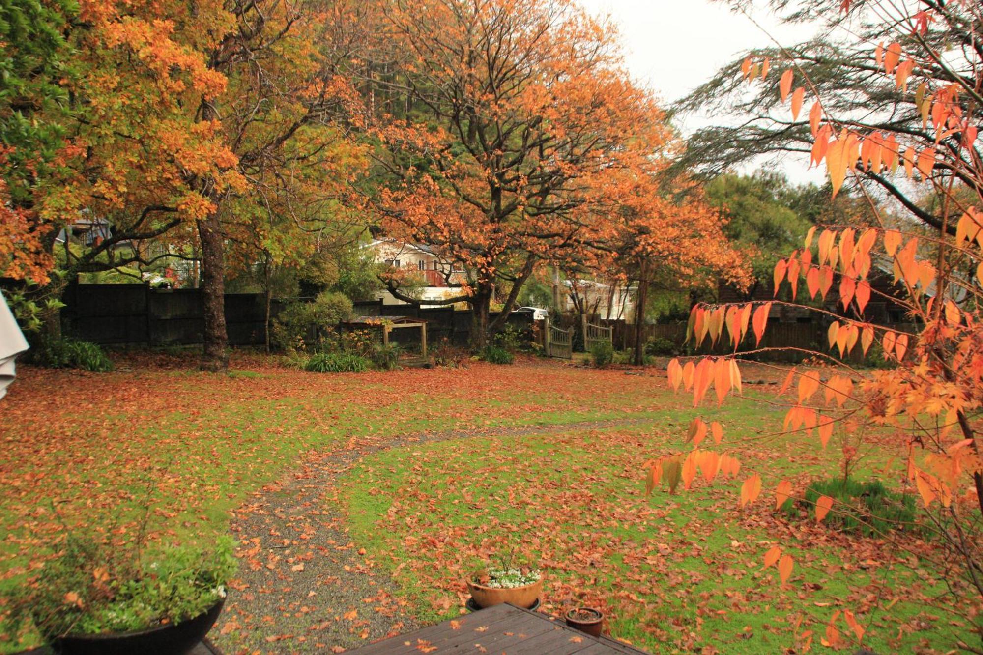 Pinehaven Cottage Upper Hutt Εξωτερικό φωτογραφία